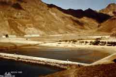 ���� ������ ��� ��� ����