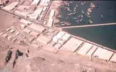 ���� ������ ��� ��� ����