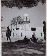 ���� ������ ��� ��� ����