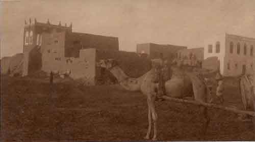 ���� ������ ��� ��� ����