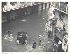 ���� ������ ��� ��� ����