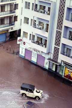 ���� ������ ��� ��� ����