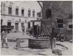 ���� ������ ��� ��� ����