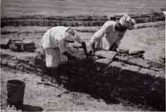 ���� ������ ��� ��� ����