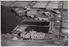 ���� ������ ��� ��� ����