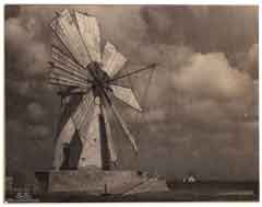 ���� ������ ��� ��� ����