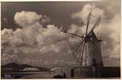 ���� ������ ��� ��� ����