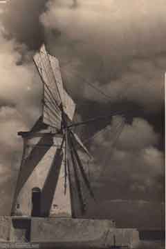 ���� ������ ��� ��� ����