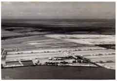 ���� ������ ��� ��� ����