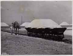 ���� ������ ��� ��� ����