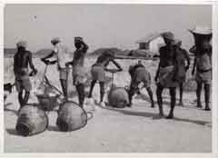 ���� ������ ��� ��� ����