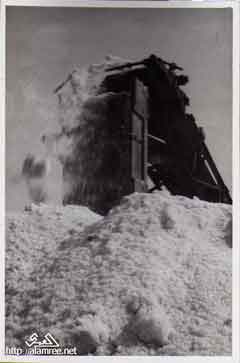 ���� ������ ��� ��� ����