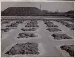 ���� ������ ��� ��� ����