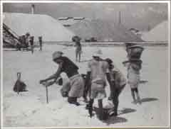 ���� ������ ��� ��� ����