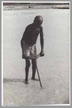 ���� ������ ��� ��� ����