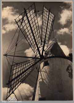 ���� ������ ��� ��� ����