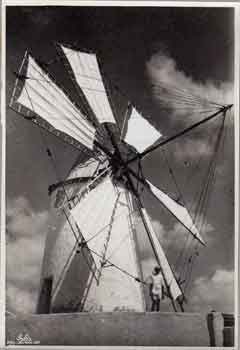 ���� ������ ��� ��� ����