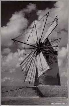 ���� ������ ��� ��� ����