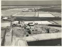 ���� ������ ��� ��� ����