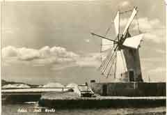 ���� ������ ��� ��� ����