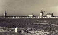 ���� ������ ��� ��� ����