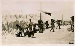 ���� ������ ��� ��� ����