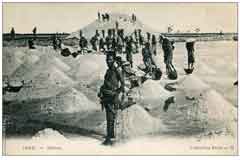 ���� ������ ��� ��� ����