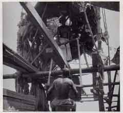 ���� ������ ��� ��� ����