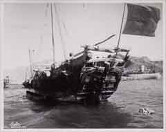 ���� ������ ��� ��� ����