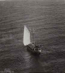 ���� ������ ��� ��� ����