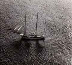 ���� ������ ��� ��� ����