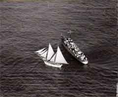 ���� ������ ��� ��� ����