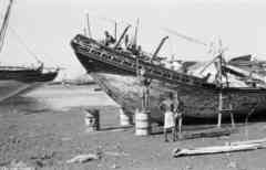 ���� ������ ��� ��� ����