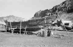 ���� ������ ��� ��� ����