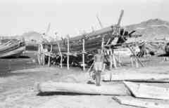 ���� ������ ��� ��� ����