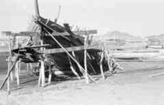 ���� ������ ��� ��� ����