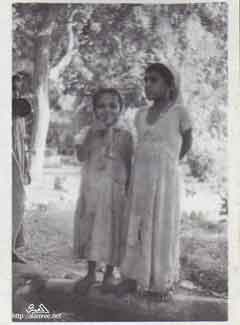 ���� ������ ��� ��� ����