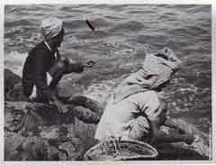 ���� ������ ��� ��� ����