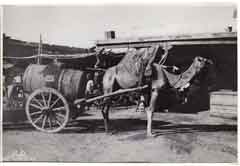 ���� ������ ��� ��� ����