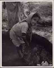 ���� ������ ��� ��� ����