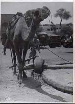 ���� ������ ��� ��� ����