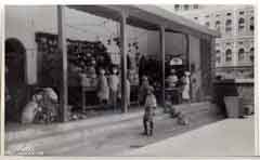 ���� ������ ��� ��� ����