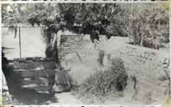 ���� ������ ��� ��� ����