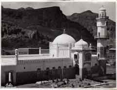 ���� ������ ��� ��� ����