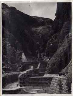 ���� ������ ��� ��� ����