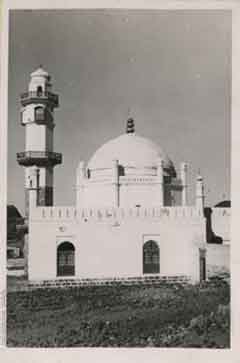 ���� ������ ��� ��� ����