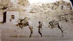 ���� ����� ������  ���� ����� ������� � ��� ����� ������� ���� ����� �� ����� �� ���� �� �����������