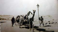 ���� ������ ��� ��� ����