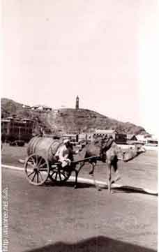 ���� ������ ��� ��� ����