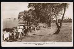 ���� ������ ��� ��� ����